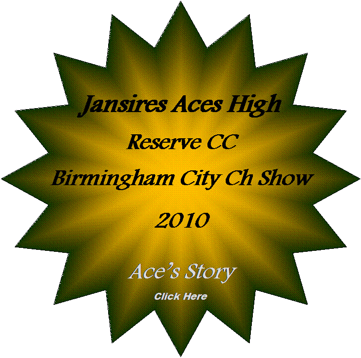 Jansires Aces High, Reserve Champion, Birmingham Champ show, 2010