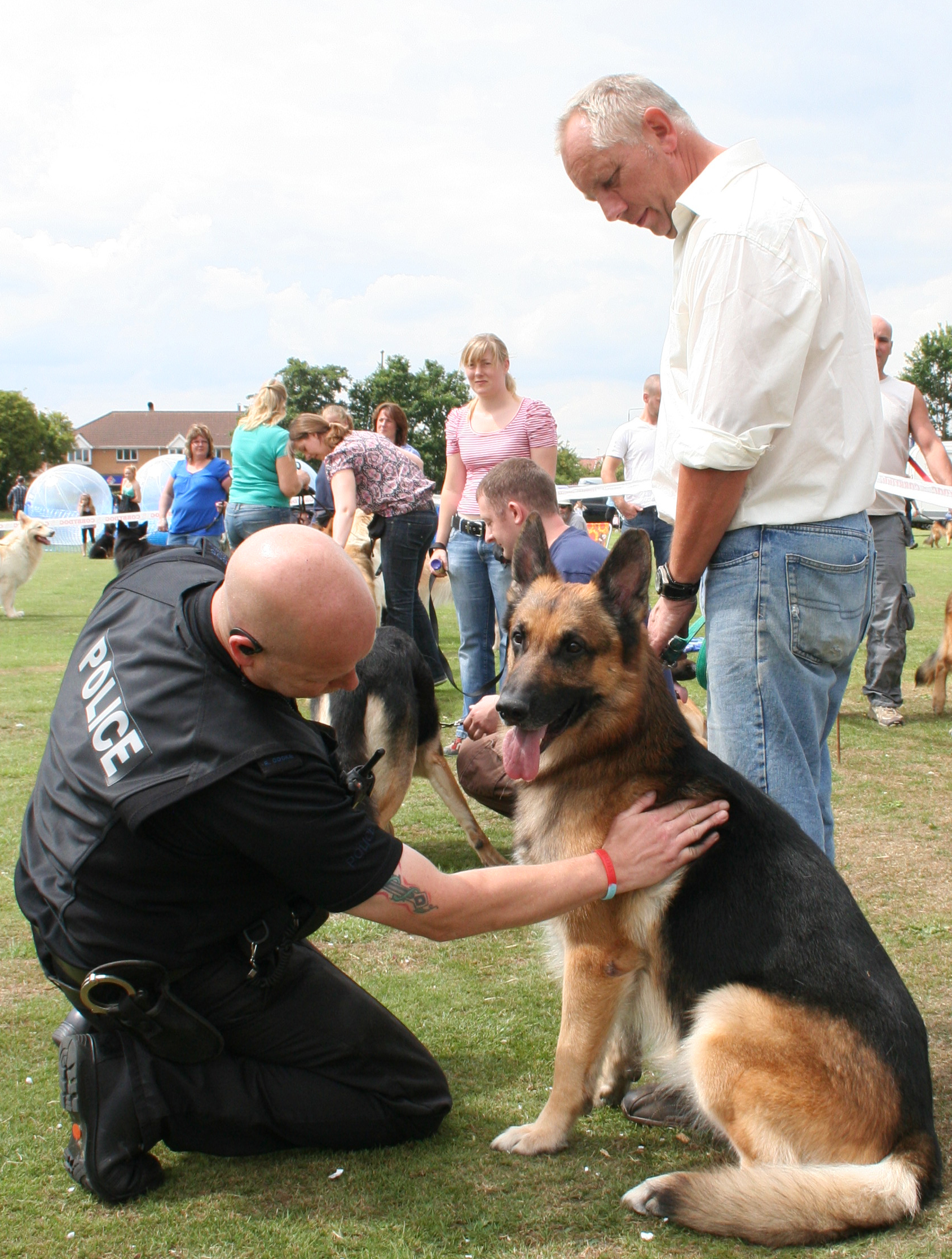 Jansires Aces High in the Ged Walker Memorial Class, 2010, being examinded by the judge, Handler Terry Glenn