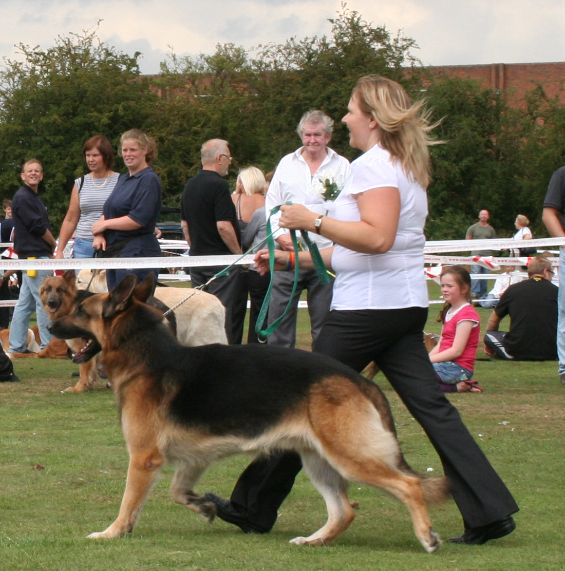 Jansires Aces High, With handler Jannet Wesley, 2010