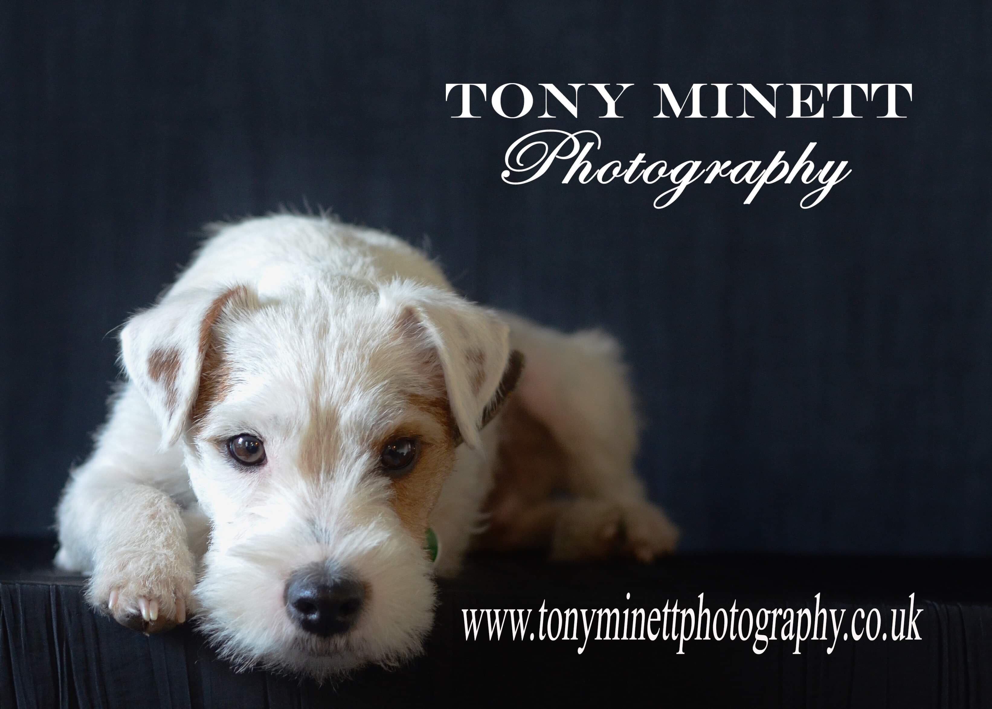 Pet Photography Nottinghamshire UK