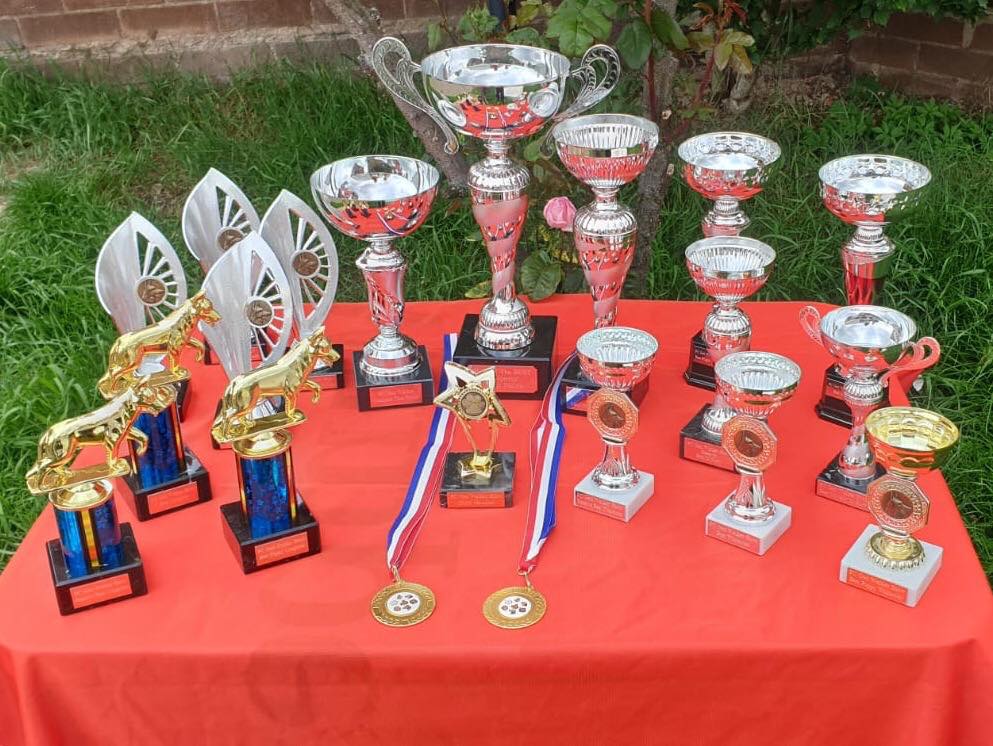 Ged Walker Show Trophies