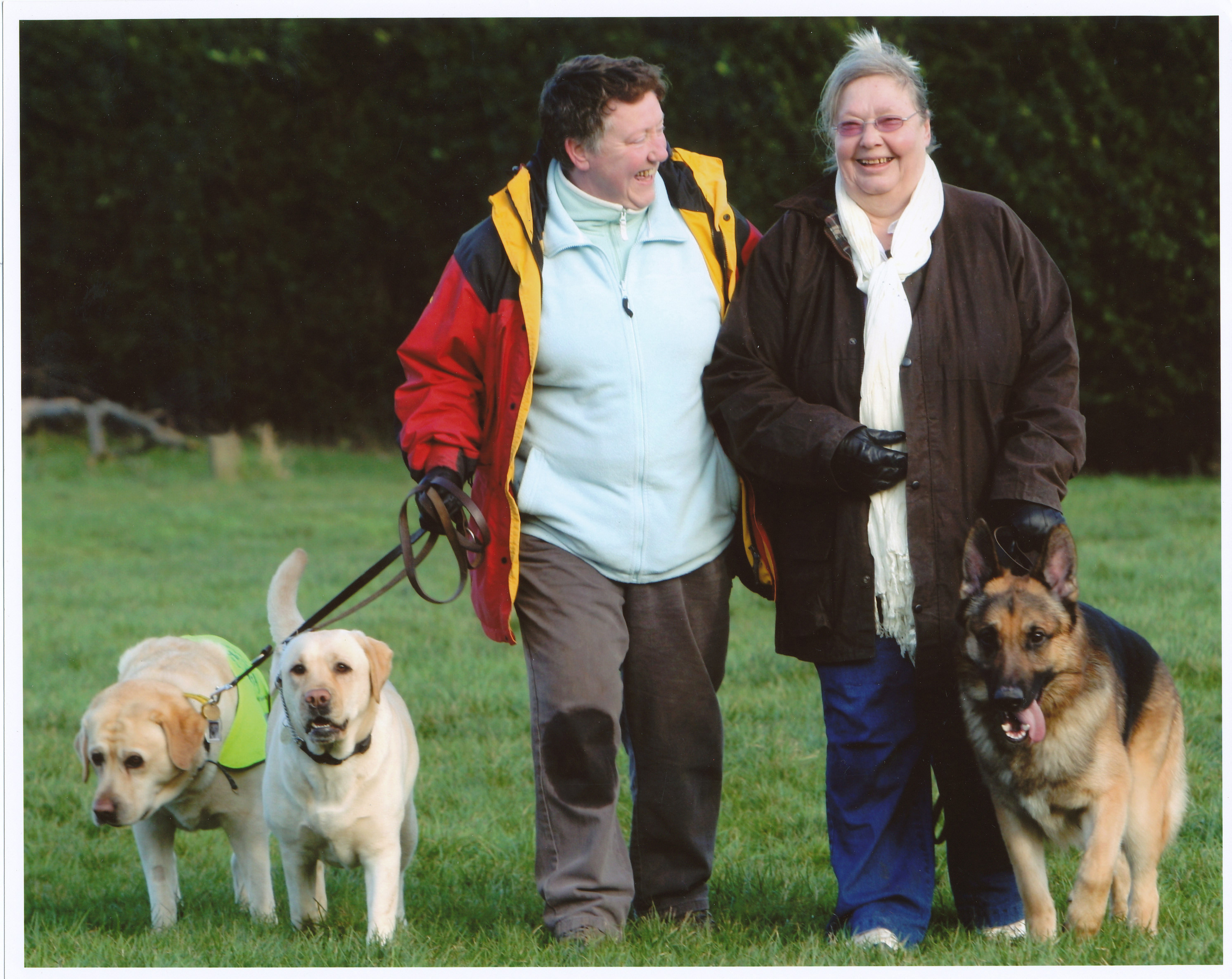 Large dogs walking to heel