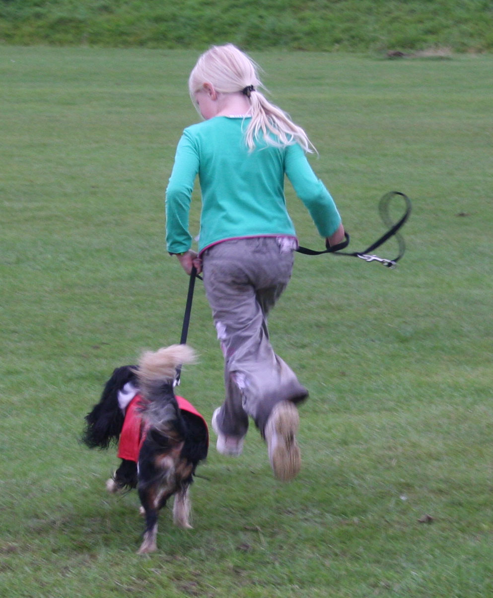 Dog & Child running