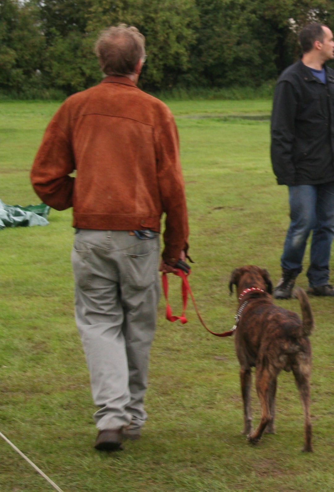 Dog Working to heel