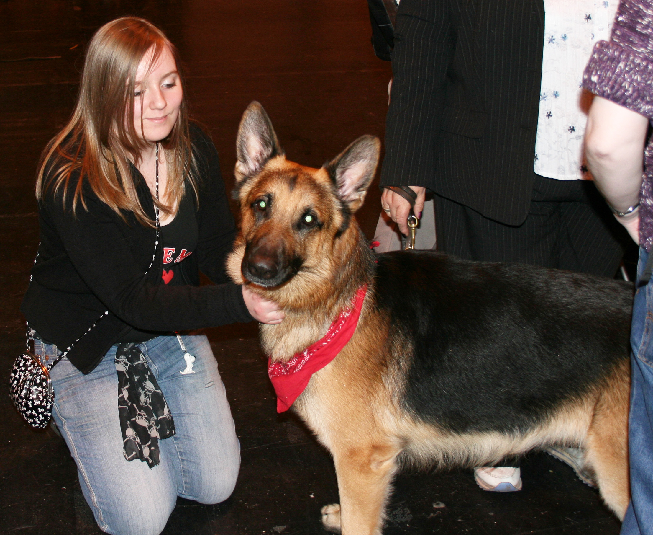 Jansires Aces High at Crufts 2008