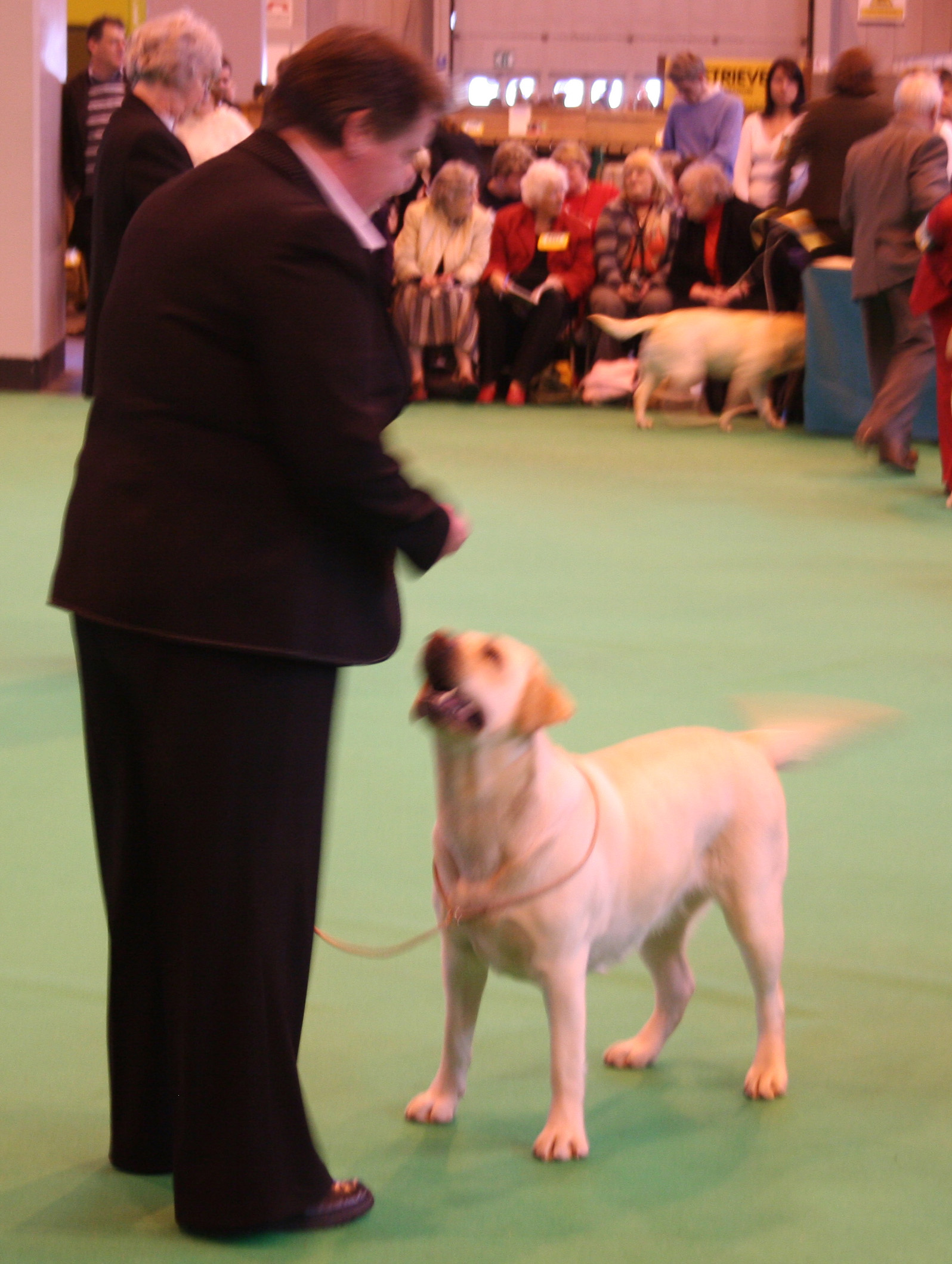 Holly Crufts 2008