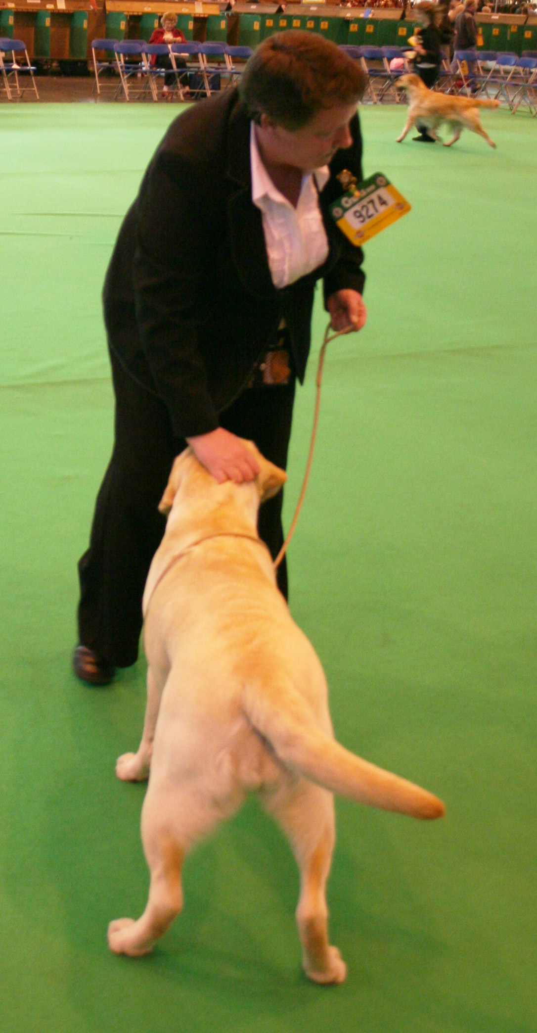 Holly at Crufts 2008