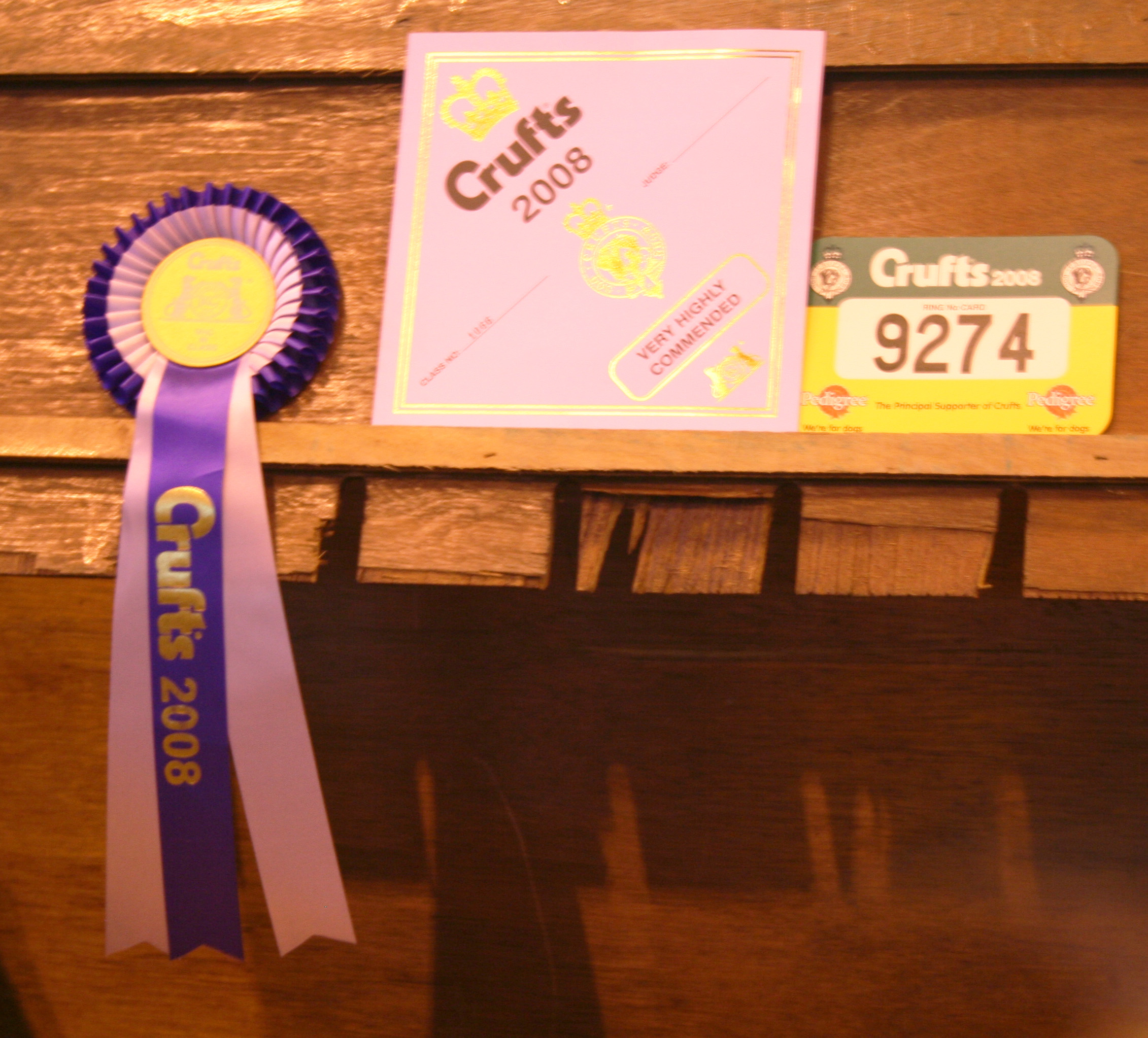 Holly's rosette from Crufts
