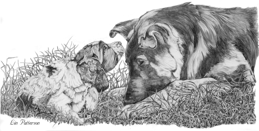 Scetch of puppies - Lin Patterson