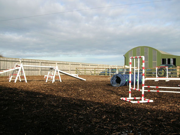 JJ Dog Training, Leicestershire