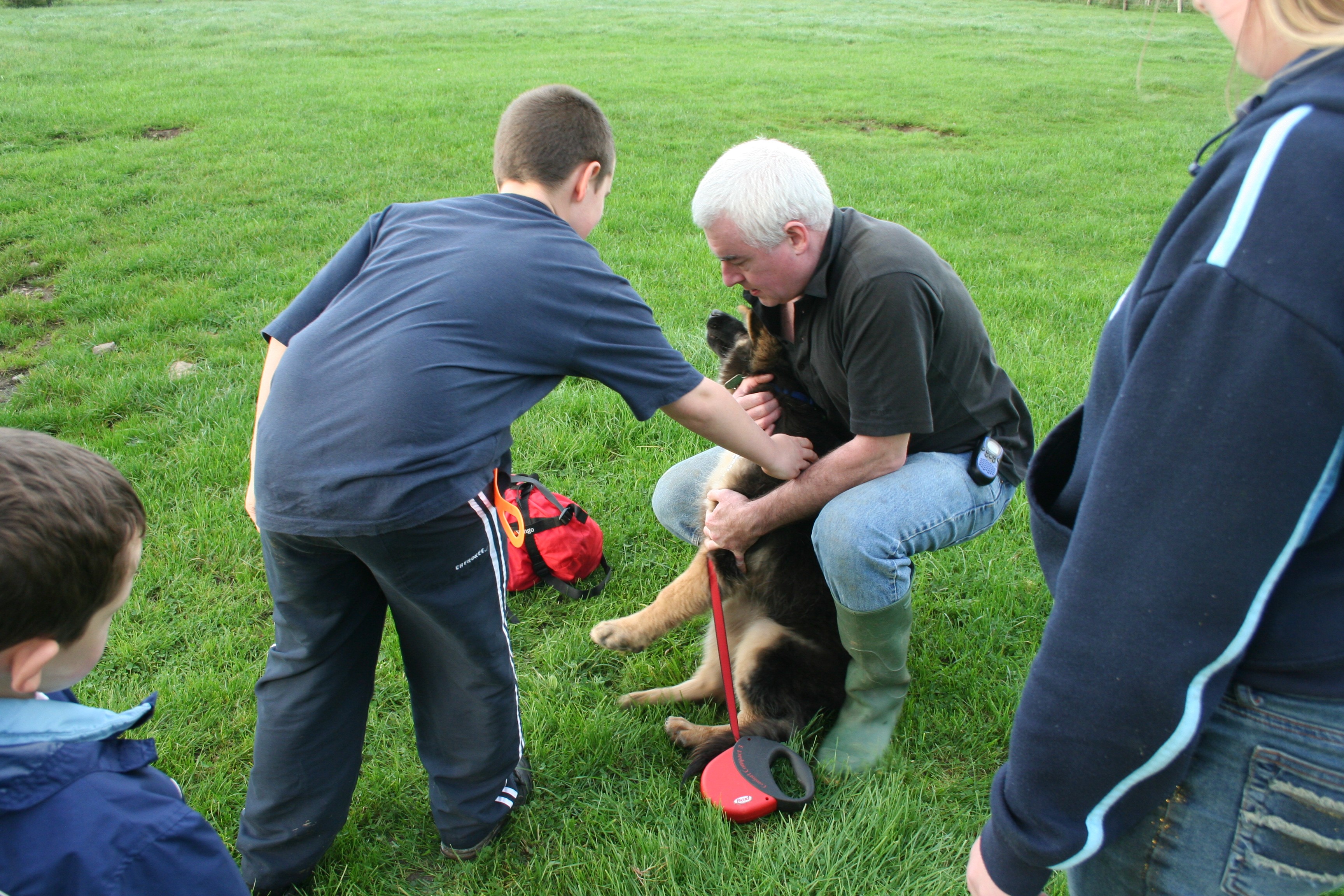 Child being introduced to puppy