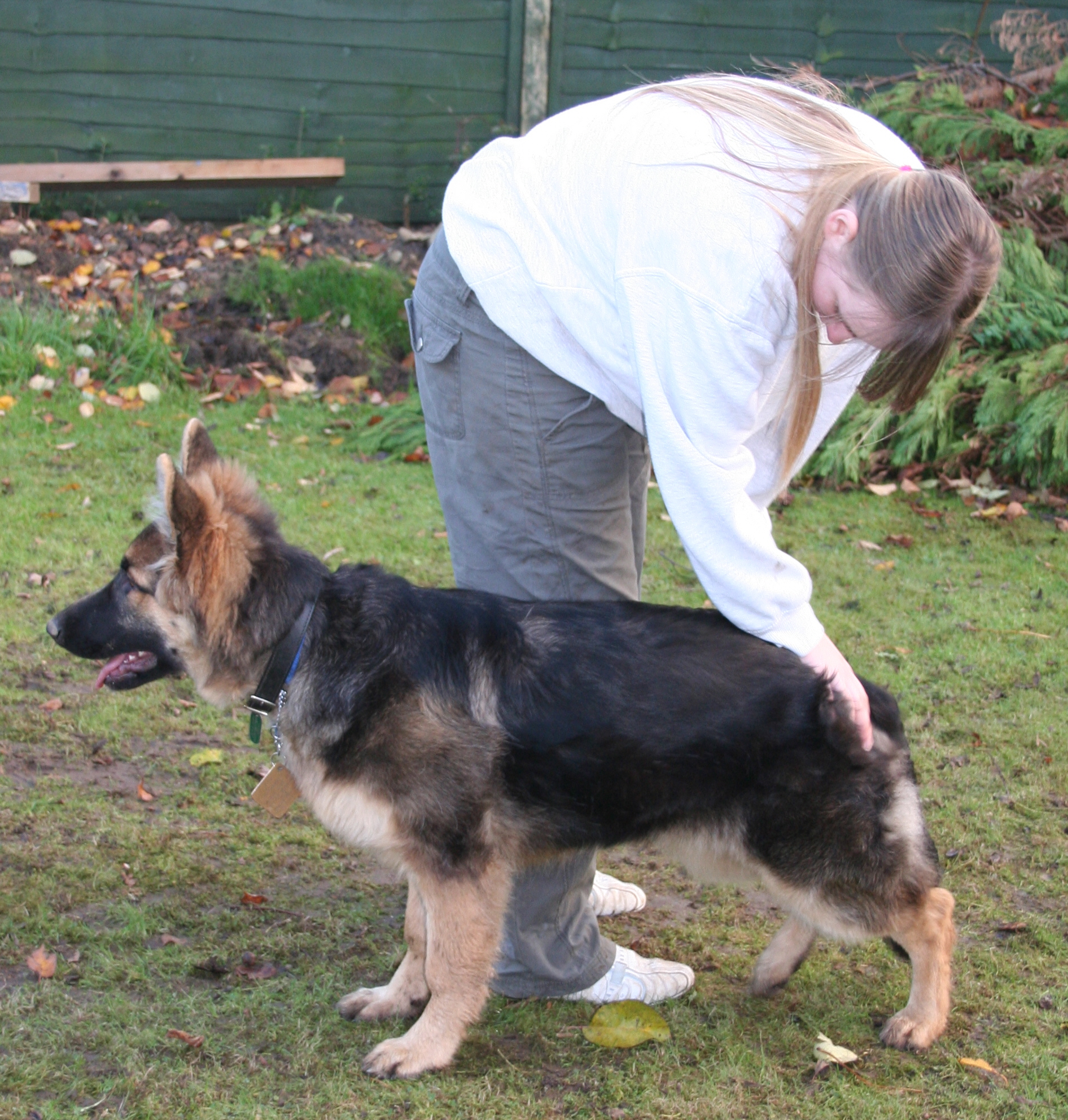 teen handling pup