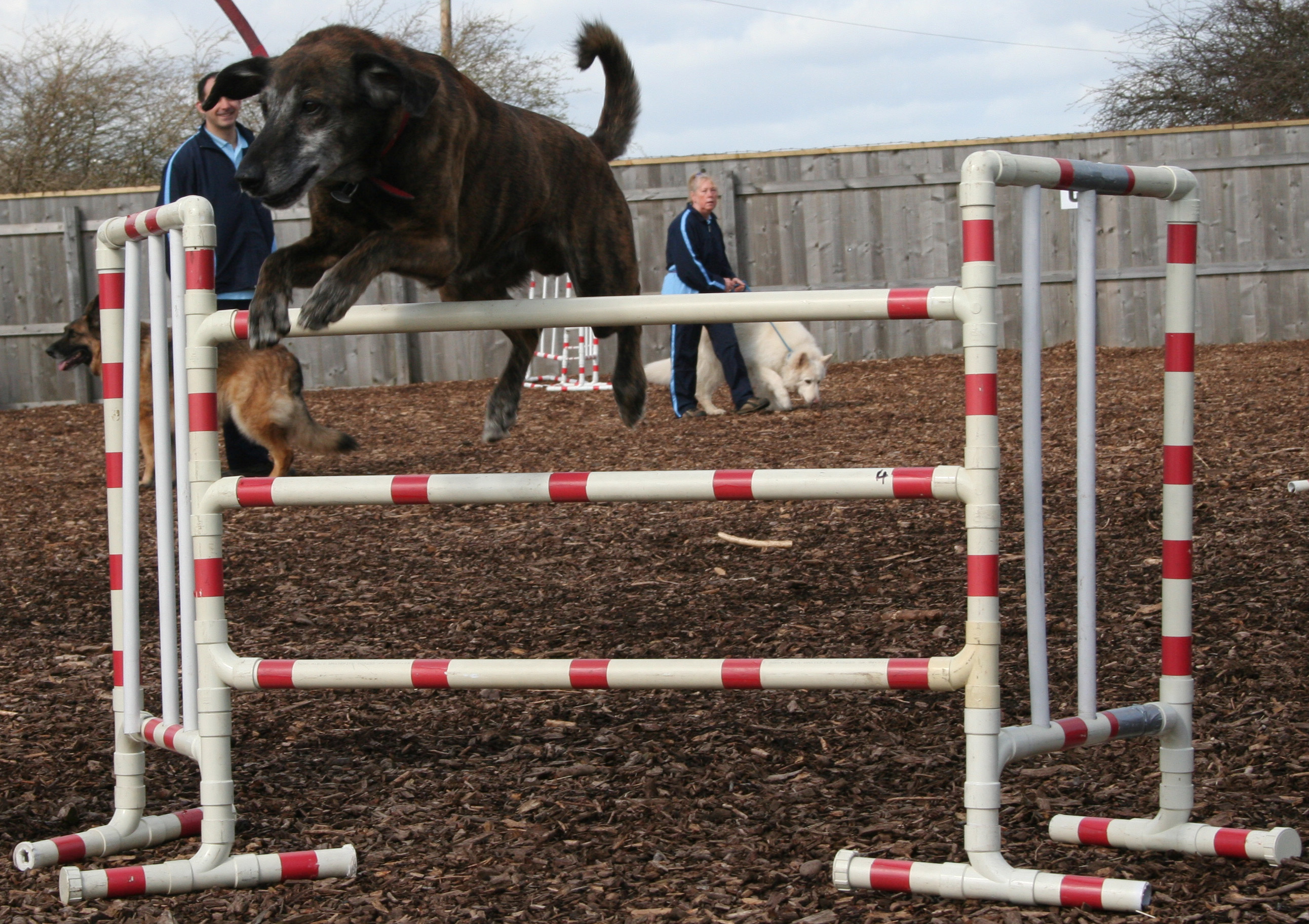 sam jumping