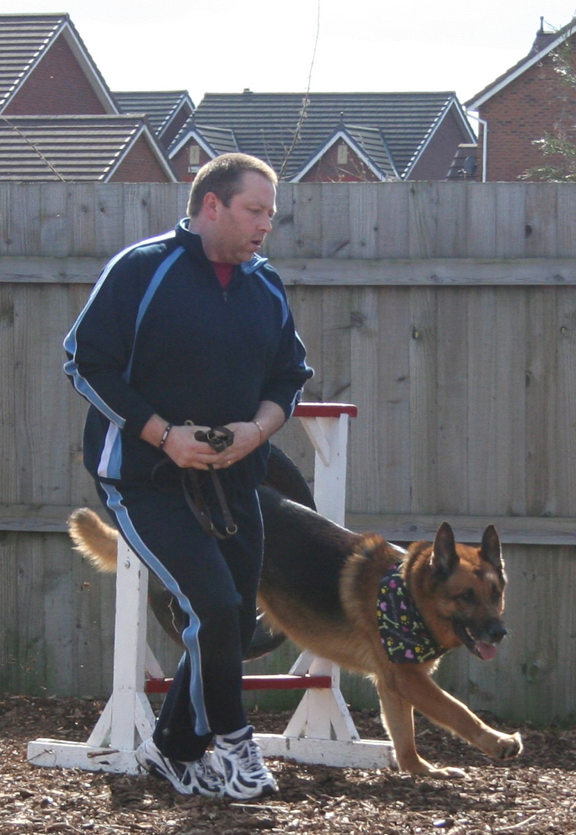 Mason- GSD dog - Jumping through a tpye jump