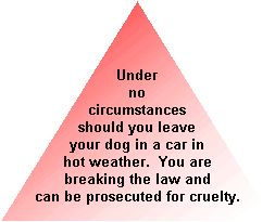 Under no circumstances should you leave a dog in a hot car - it could die and it is against the law in the uk