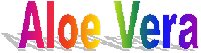 Aloe Vera