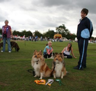 serenity1yrbenjii2yrshelties.jpg